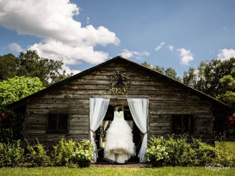 Top Fine Art Photographers in Orlando, FL Giggster Guide