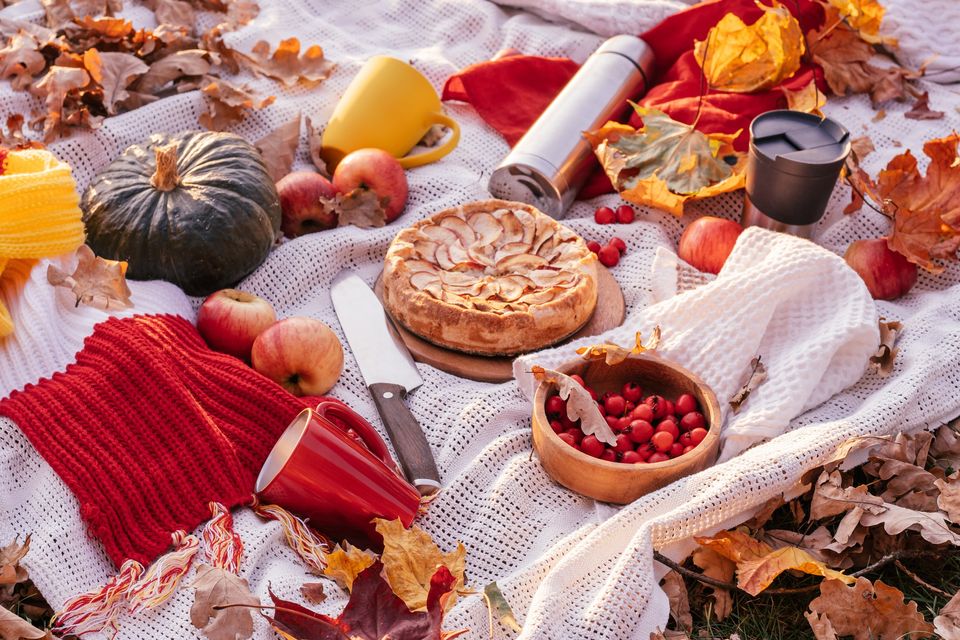 Little Pumpkin Fall Picnic Birthday Party – More Ideas Added!